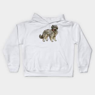 Dog - Pyrenean Shepherd - Brindle Kids Hoodie